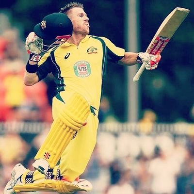 Davidwarner9018's profile picture. A gun is no more dangerous than a Cricket bat in my hand.