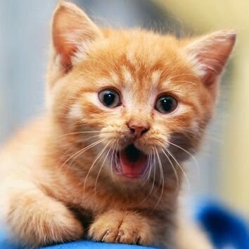 PhantomIG1's profile picture. 