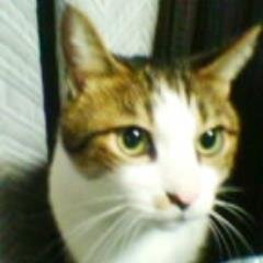 xian2001's profile picture. 