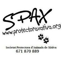 Protectora SPAX (@protectoraspax) 's Twitter Profile Photo Protectora SPAX (@protectoraspax) 's Twitter Profile Photo