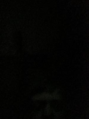 Tylorhil's profile picture. Trump