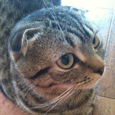 fr1224's profile picture. Photo,art,music