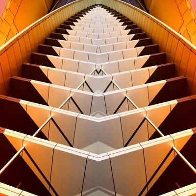 Quinn72486657's profile picture. 