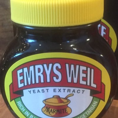 EmrysWeil's profile picture. un anagram ymysg llawer