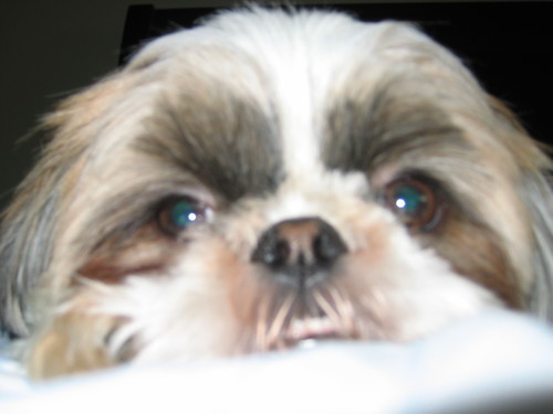 ToriKam's profile picture. 