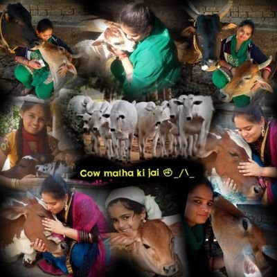 navidheve navidheve gau mateya jothege navidheve