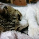 るい (@032720Naaa) Twitter