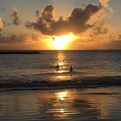 Sarahkitching5's profile picture. lover of countylife, hens, rugby and wine tasting evenings with our neighbours!