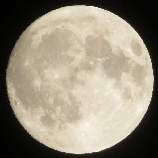 tarminalblock's profile picture. メモ用アカウント　たまに自キャラ描いて一人で盛り上がる用