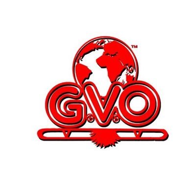 Welcome to the Official GVOStore Twitter Delivery At Your Door. -GVOSTORE   the link is below to visit our website 👇👀 U There