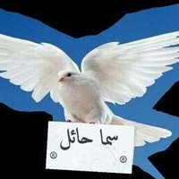 ♣♤♥( سما حائل )♣♤♥(@kt6661) 's Twitter Profile Photo