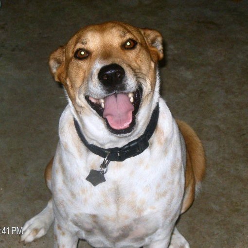 NeillGalbraith's profile picture. 