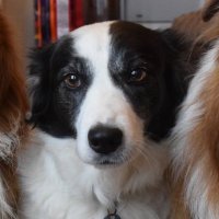 Anne McArdle (@anne91011) 's Twitter Profile Photo Anne McArdle (@anne91011) 's Twitter Profile Photo