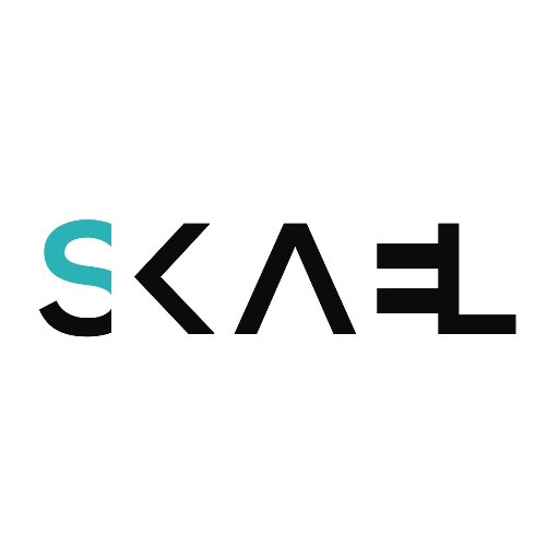 SKAEL helps companies fully automate repetitive B2B functions, through easy integrations to hundreds of enterprise systems, while harnessing insights.