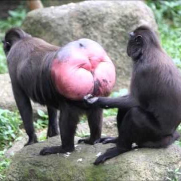 tepic_n's profile picture. 