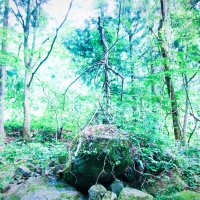 Masa (@zealotworld) 's Twitter Profile Photo Masa (@zealotworld) 's Twitter Profile Photo
