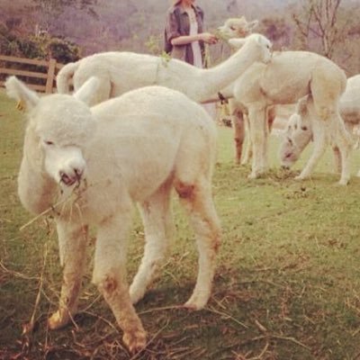 88___Lindros's profile picture. 下のブログの規約を読んでからご参加下さい。 🍒💣NCT🇰🇷Korea