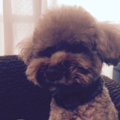 akr_f27's profile picture. 谷藤ゼミ3年