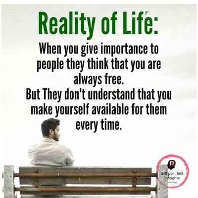 anshi595's profile picture. 