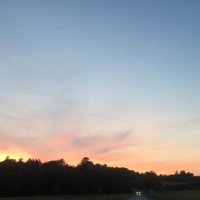 Marie Dimberg (@mariedimberg) 's Twitter Profile