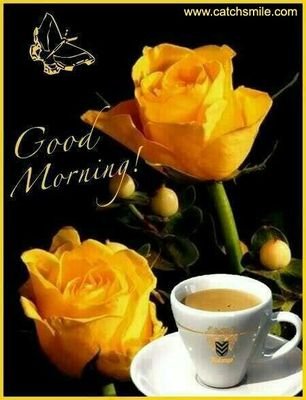 Life00341014's profile picture. 