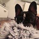 Marina Bauer  - @MMarinabauer - Twitter