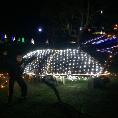 saepan_2's profile picture. 使わないよ。