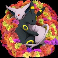 もん (@zion_rss) 's Twitter Profile