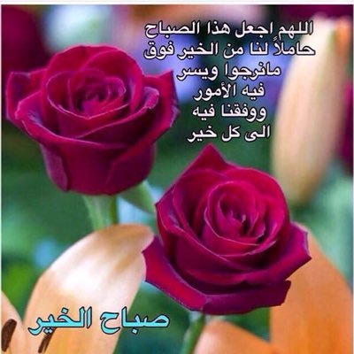 ff_atomh's profile picture. 