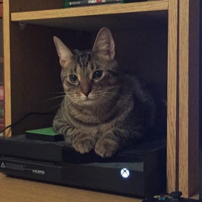 JIckes13's profile picture. "talent is like the marksman who hits a target which others cannot reach; genius is like the marksman who hits a target which other cannot even see."