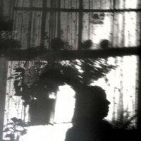 Mar Wolfe (@rainw) 's Twitter Profile