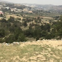 معلم مغترب (@talal41582711) 's Twitter Profile