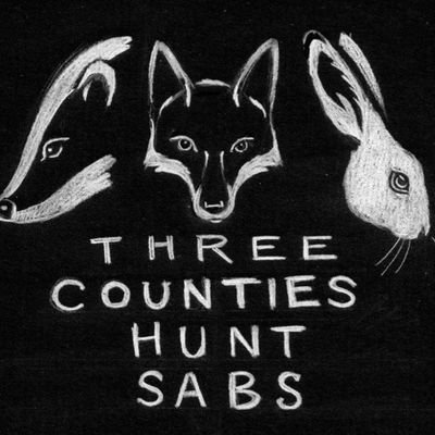 3C hunt sabs Profile