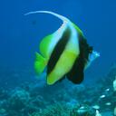 pat north - @Patnorth - Twitter