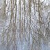 Lantern Creek Press (@lanterncreekapp) Twitter profile photo Lantern Creek Press (@lanterncreekapp) Twitter profile photo
