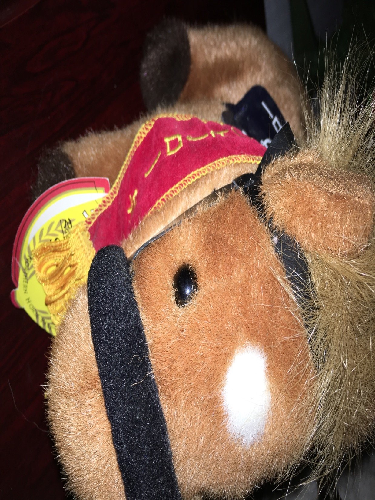 m67238245_m's profile picture. スクリーンヒーロー産駒 andスクリーンヒーローの孫！ダイナアクトレス一族、鹿戸雄一厩舎、菅原明良騎手を応援 ！縁が集まって花が咲く…🎶