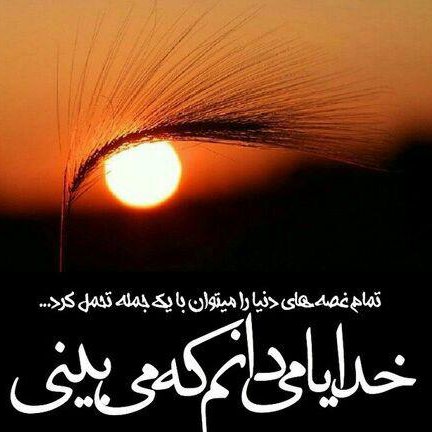 mazhabi_pic's profile picture. 