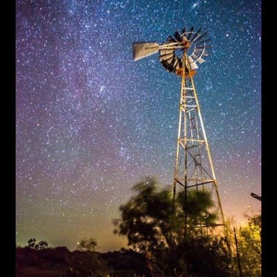 deardkg's profile picture. 