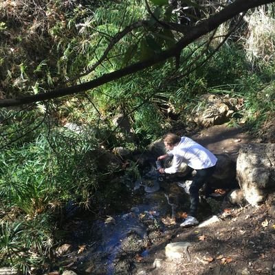 Meteoritemage's profile picture. Life Explorer - Artist