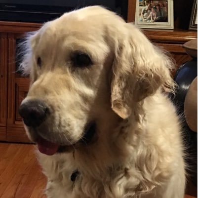 manypava's profile picture. 