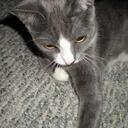 Karla Key - @koolkitty47 - Twitter