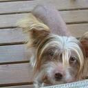 Sandra MacLean - @sandymac0930 - Twitter