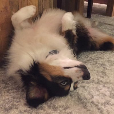 LynPenz's profile picture. 