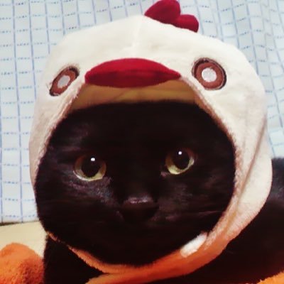 フェリスさんのプロフィール画像