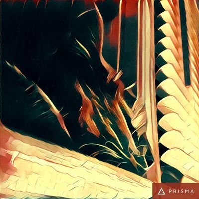 bootsa12011's profile picture. She/They (34)