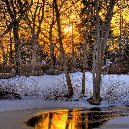 srullyg's profile picture. 