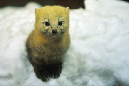 ochiaiBINKO's profile picture. 辺境の音楽家。稼業は付随音楽制作と公演楽師、時々講義、稀に執筆。