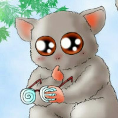 メガネ猿ちゃん Kenji244k Twitter