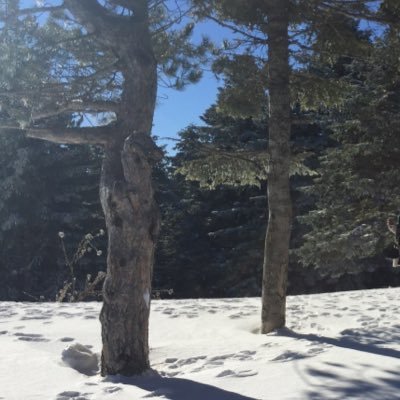 fatemh_q89's profile picture. 