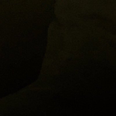引越さんのプロフィール画像